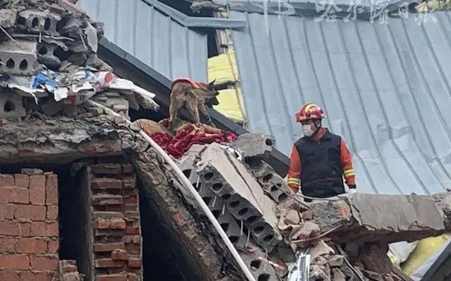 哈爾濱坍塌事故，引發(fā)老舊小區(qū)改造問題新思考